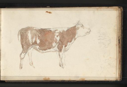 Brown-spotted cow