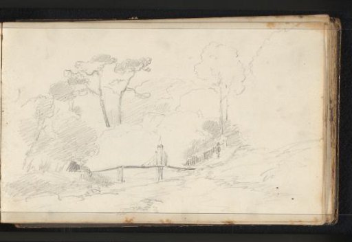 Landscape with vegetation and bridge
