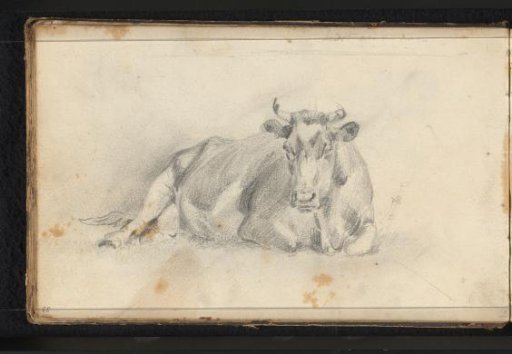 Recumbent Bull