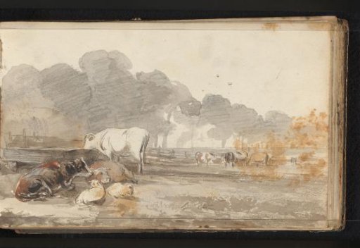 Cattle in a Meadow