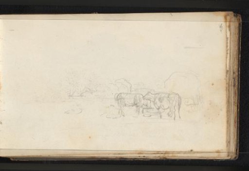 Cattle in a Meadow