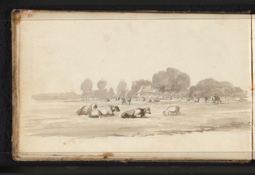 Cattle in a Meadow