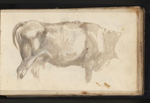 Headless Ox