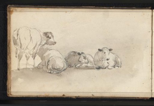 Cattle in a Meadow