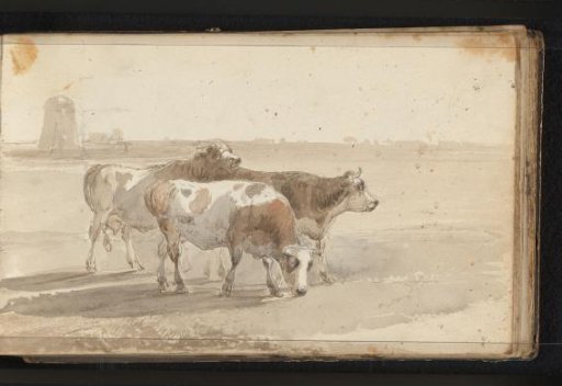 Cattle in a Meadow