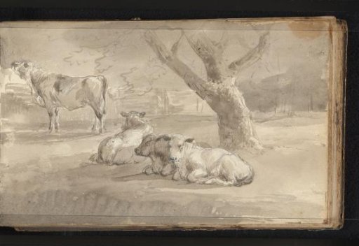 Cattle in a Meadow