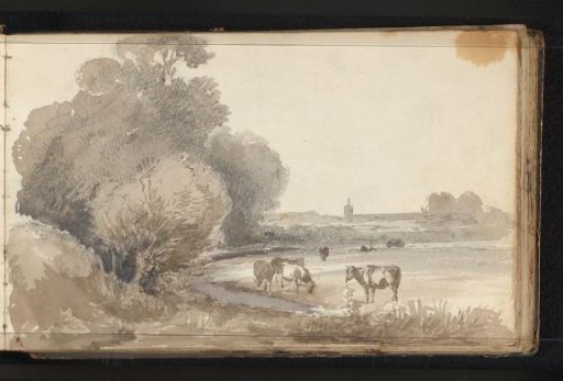 Cattle in a Meadow by the Water