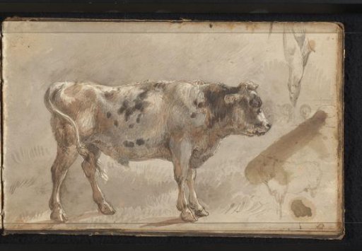 Two Bulls