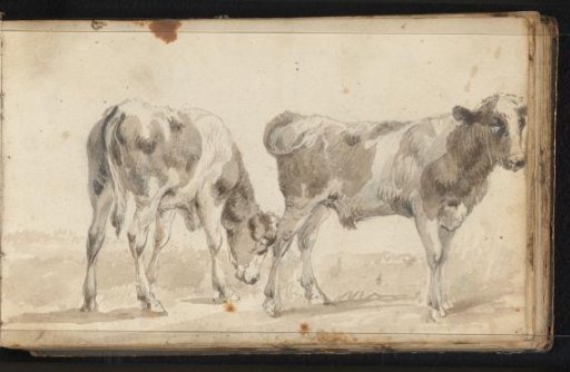 Two oxen