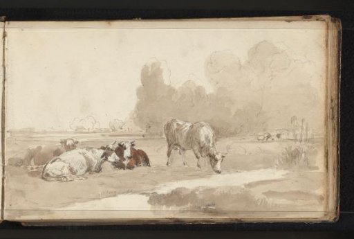 Cattle in a Meadow