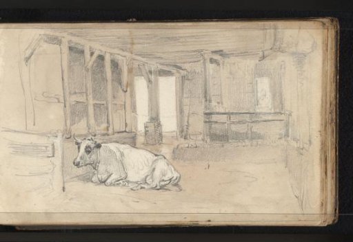 Bull Lying in a Stable