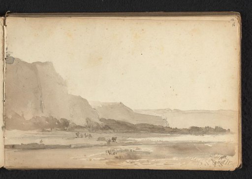 Hilly landscape with cattle