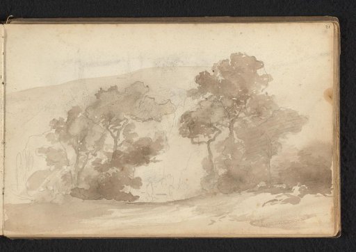 Hilly forest landscape