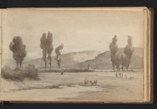 Hilly landscape with grazing cattle