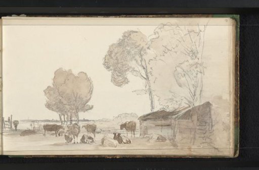 Cattle in a meadow