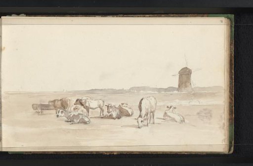 Cattle in a meadow