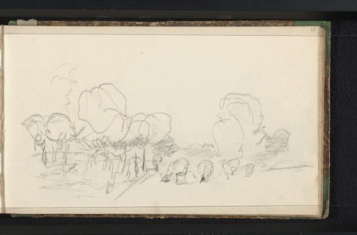 Landscape with livestock