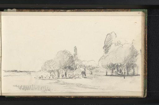 Landscape with livestock