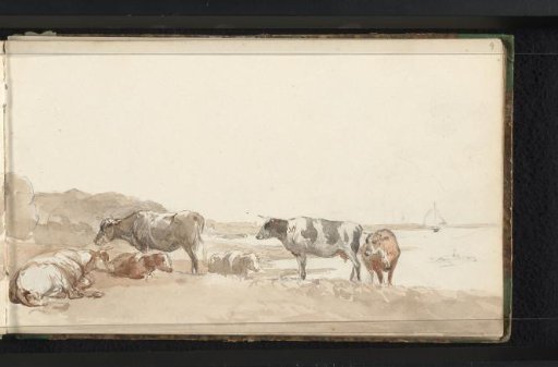 Cattle in a meadow by water