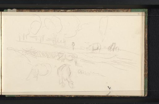 Cattle in a meadow