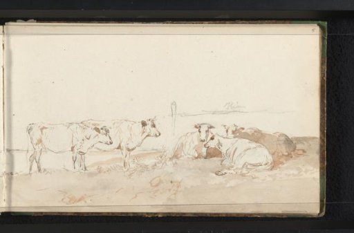 Cattle in a meadow
