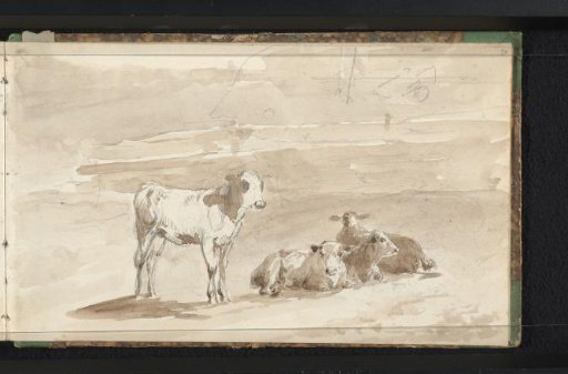 Cattle in a meadow