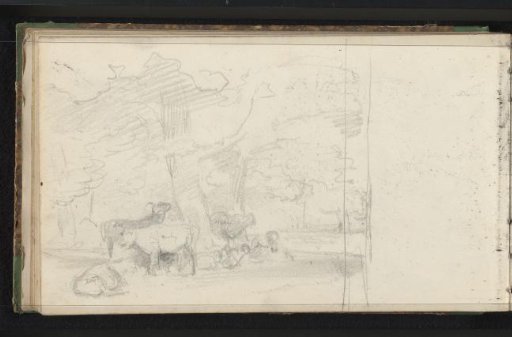 Cattle in a meadow