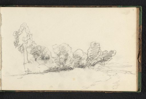 Landscape with trees