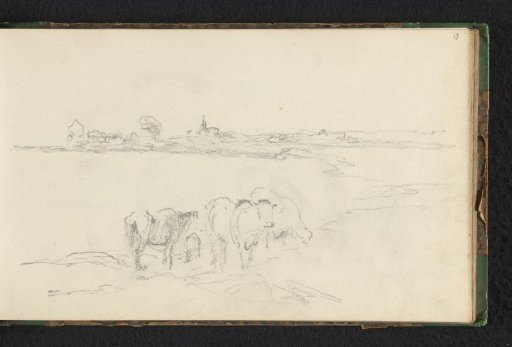 Meadow with cows