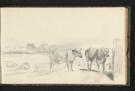 Meadow with cows