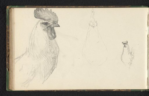 Three chickens
