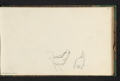 Two chickens
