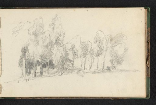 Woodland edge