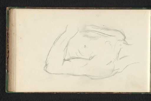 Male torso