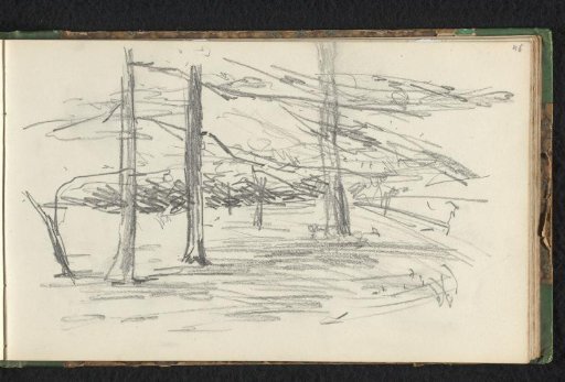 Landscape with trees