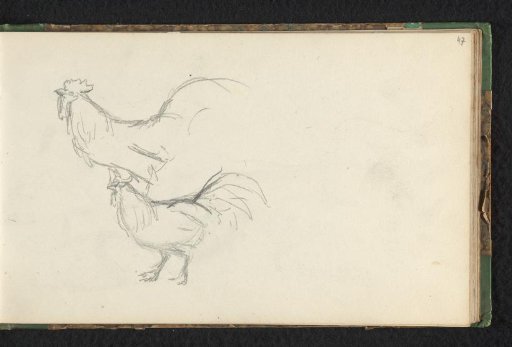 Two roosters