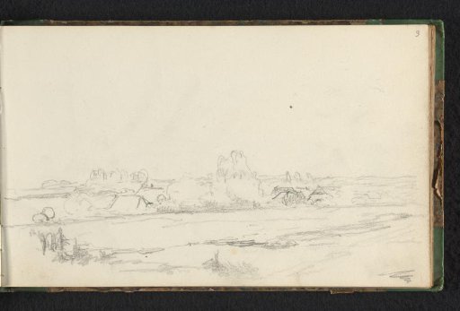 View of a meadow