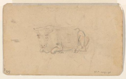 Study of a lying cow