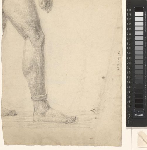 Study of a Head