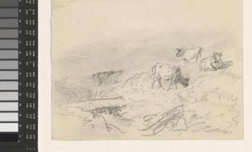 Landscape with grazing cows