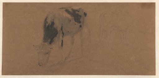 Two grazing cows