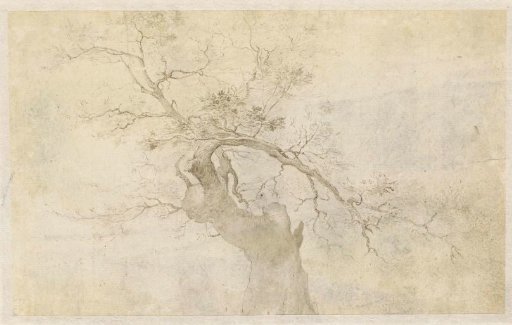 Study of a Knotty Tree