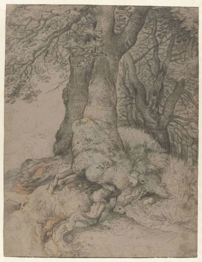 Study of Tree Trunks and Roots