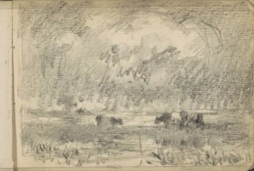 Cows by a ditch