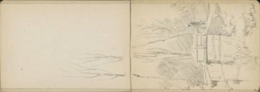 Man on a bridge over water in a forest