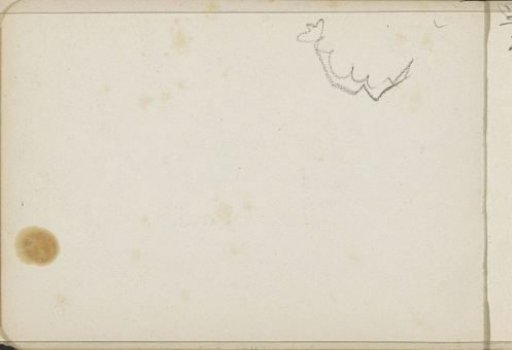 Study, possibly leaves of a tree