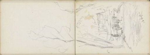 Man with cattle on a path