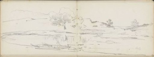 Landscape with trees and water