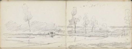 Landscape with trees by a waterway