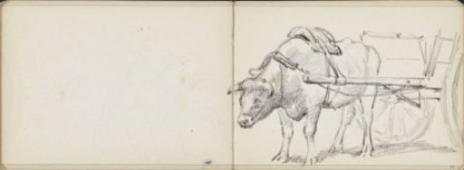 Ox cart